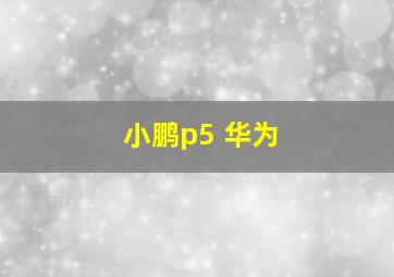 小鹏p5 华为